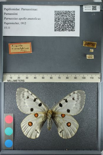 Media type: image;   Entomology 175137